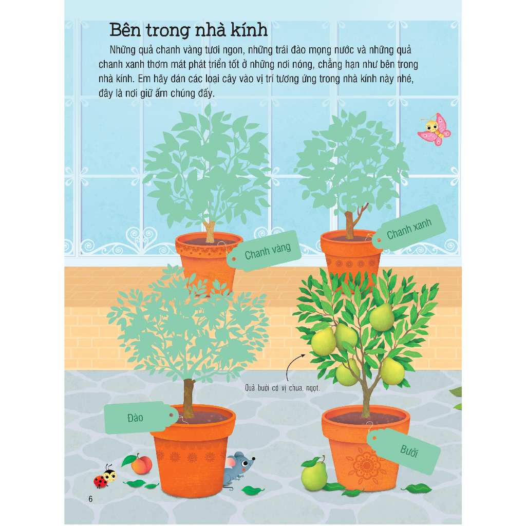 Sách dán hình đầu đời cho bé - First Sticker Book - Trái cây và rau củ