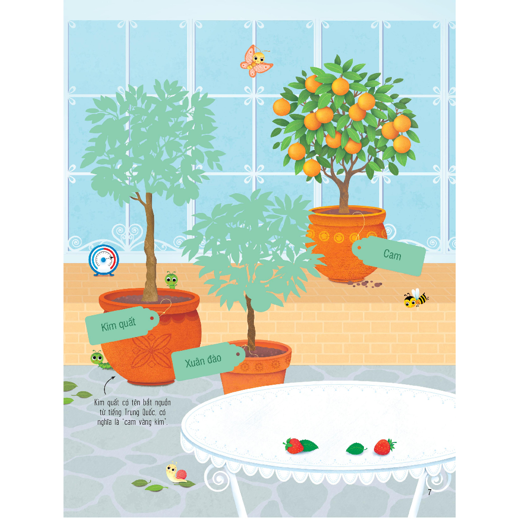 Sách dán hình đầu đời cho bé - First Sticker Book - Trái cây và rau củ