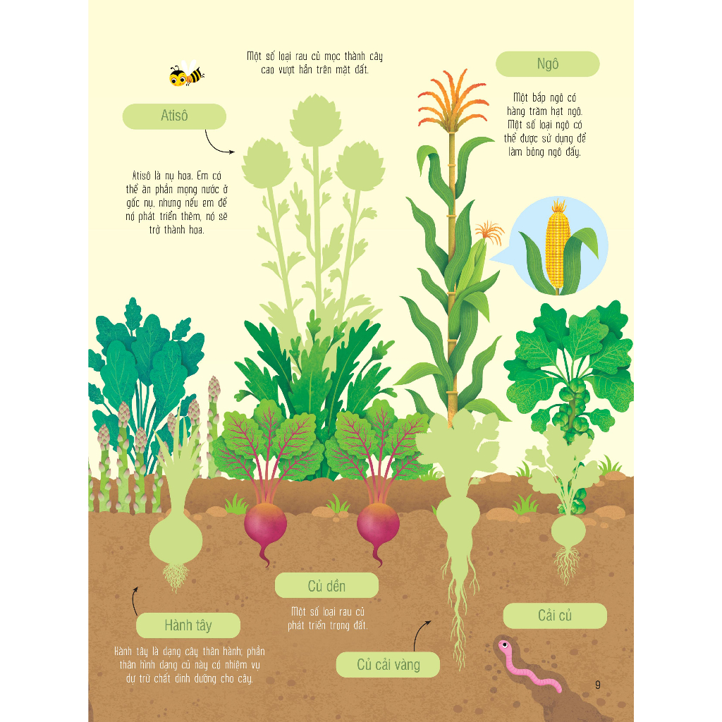 Sách dán hình đầu đời cho bé - First Sticker Book - Trái cây và rau củ