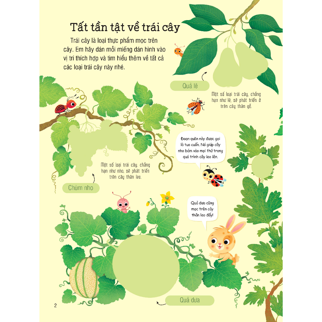 Sách dán hình đầu đời cho bé - First Sticker Book - Trái cây và rau củ