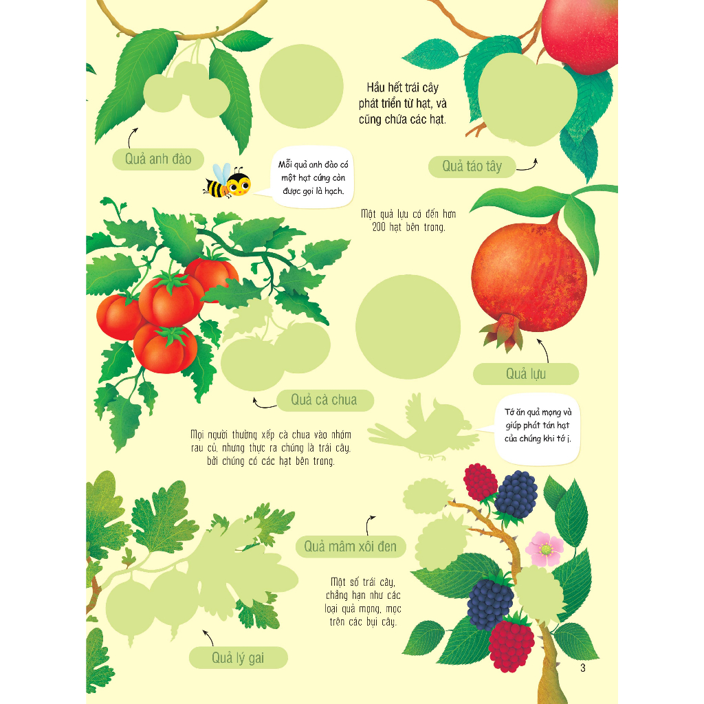 Sách dán hình đầu đời cho bé - First Sticker Book - Trái cây và rau củ