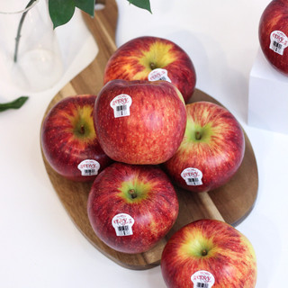 Táo envy new zealand giòn, ngọt thơm, túi 1kg - foodmap fruits