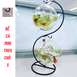 Bể cá mini treo để bàn chữ S