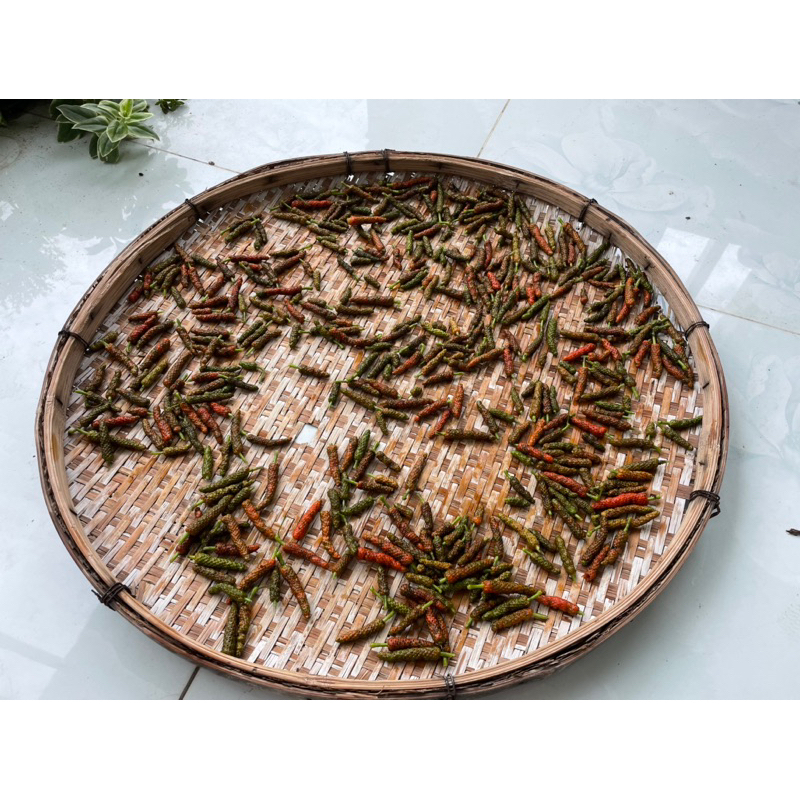 Tiêu lốp nhà trồng tươi và phơi khô