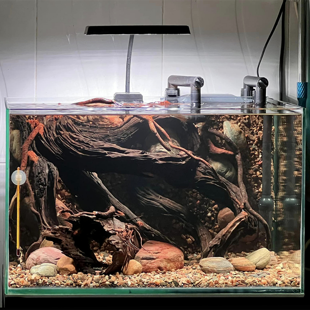 Đèn Flast RGB Neo Helios S3 Plus cho hồ thủy sinh và hồ cá cảnh