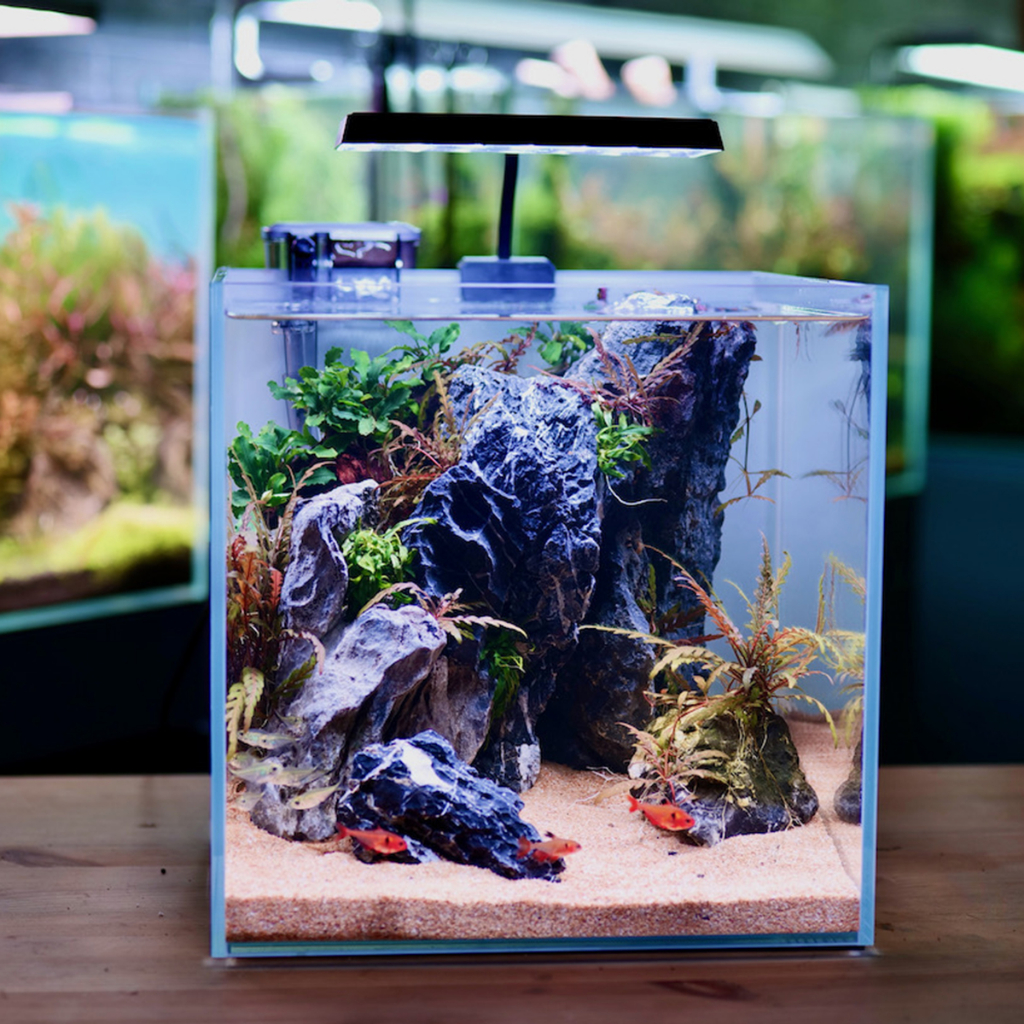 Đèn Flast RGB Neo Helios S3 Plus cho hồ thủy sinh và hồ cá cảnh