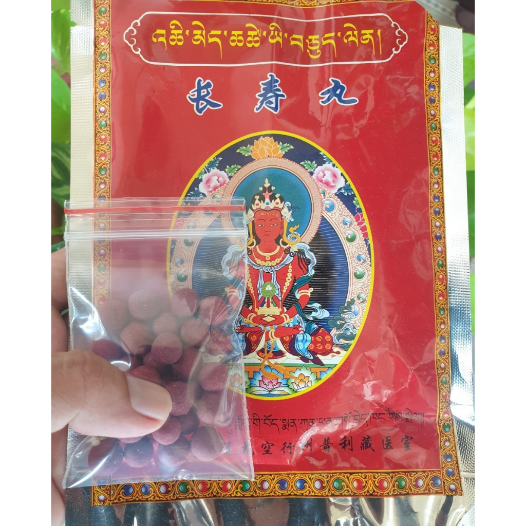 Pháp Dược Vô Lượng Thọ, Học Viện Phật Giáo Larung Gar
