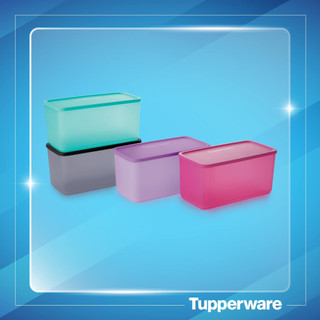 Tupperware ❤️ Freeship Extra ❤️ Bộ Trữ Mát Funtastic Tupperware MỚI (4 Hộp size to)