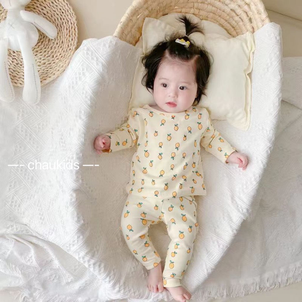 BỘ DÀI TAY IN HÌNH QUẢ XINH XẮN BÉ GÁI 6-16KG