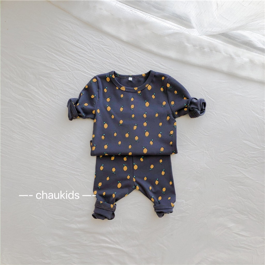 BỘ DÀI TAY IN HÌNH QUẢ XINH XẮN BÉ GÁI 6-16KG