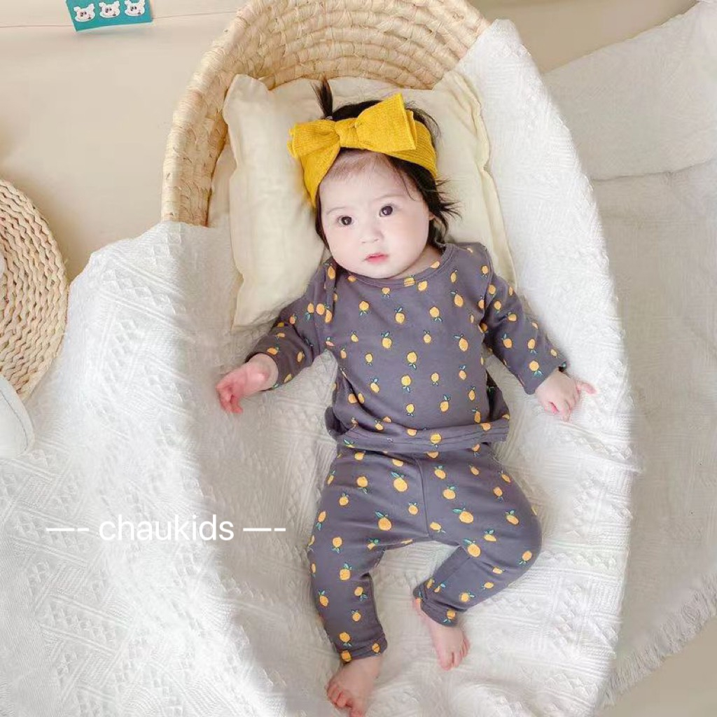 BỘ DÀI TAY IN HÌNH QUẢ XINH XẮN BÉ GÁI 6-16KG