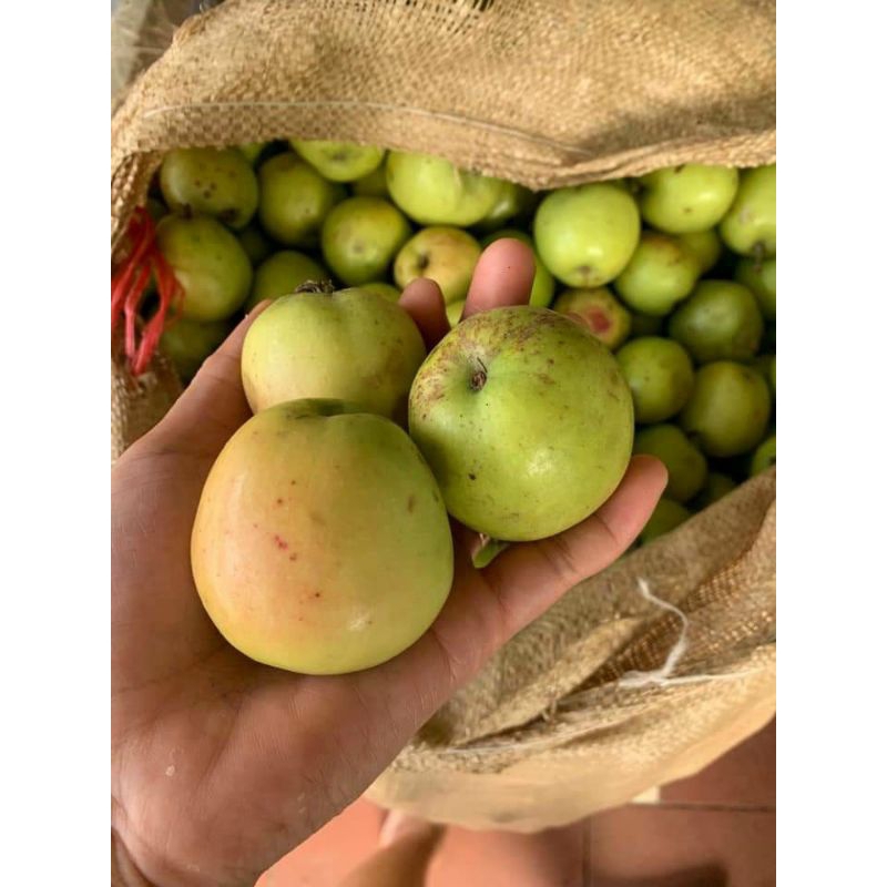 Táo mèo tây bắc mua 5 kí tươi tặng 1 kí khô