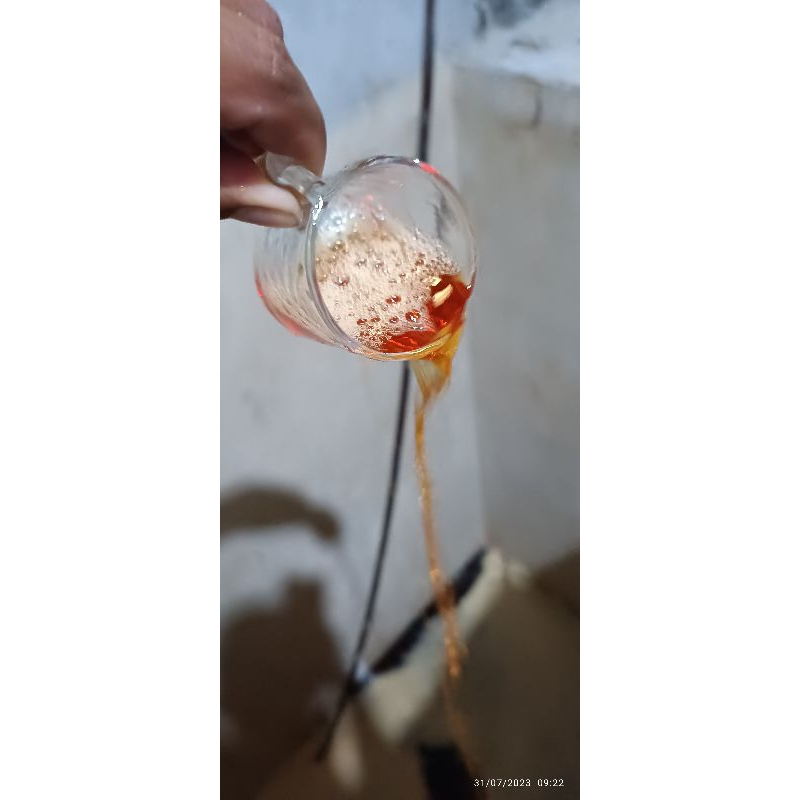 Nước mắm Phương Lam Cà Ná - Thượng hạng chai thuỷ tinh 250ml