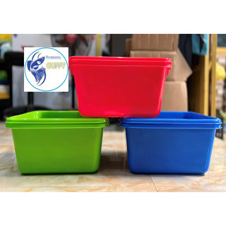 Khay nhựa nuôi cá 10L