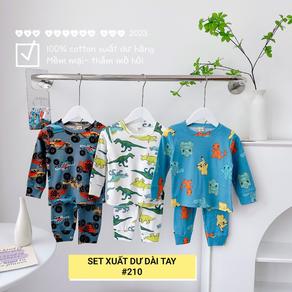 Bộ cotton dài tay xuất dư hãng siêu sịn cho bé trai