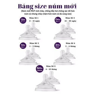 Set 2 Núm Ti Avent Nội Địa Bản Mới