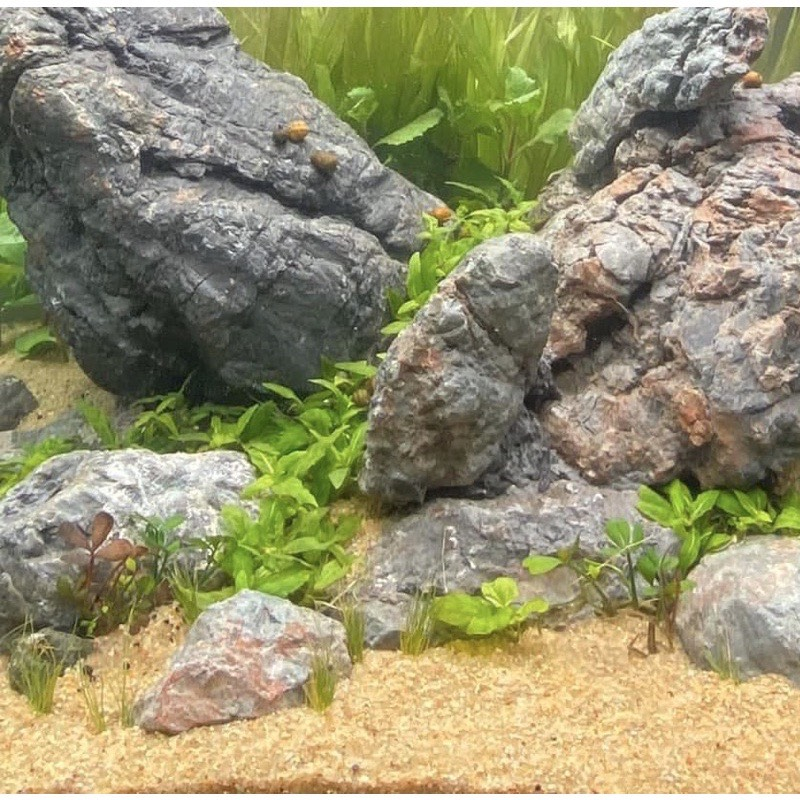 Cát Nắng Vàng Trang trí Hồ Cá, Hồ Thủy Sinh