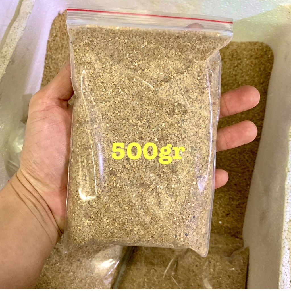 Cát Nắng Vàng Trang trí Hồ Cá, Hồ Thủy Sinh