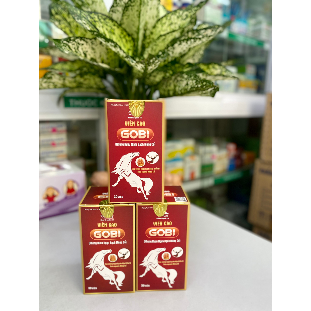 Viên cao Gobi (Nhung hươu ngựa bạch Mông Cổ)