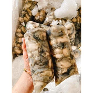 Hào sữa tươi túi 500gr (Ship hỏa tốc HCM)