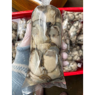 Hào sữa tươi túi 500gr (Ship hỏa tốc HCM)