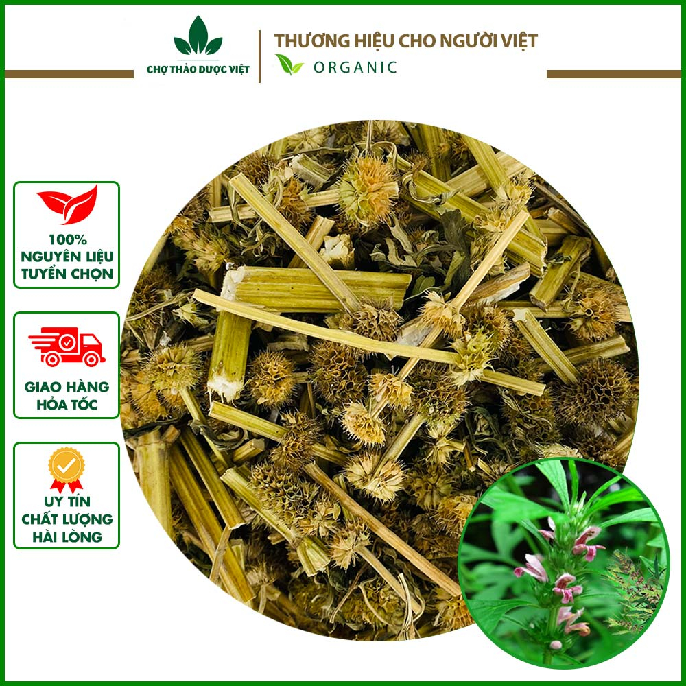 Ích mẫu khô 100g, hỗ trợ điều hòa kinh nguyệt, bổ huyết, giảm đau bụng kinh, cân bằng nội tiết