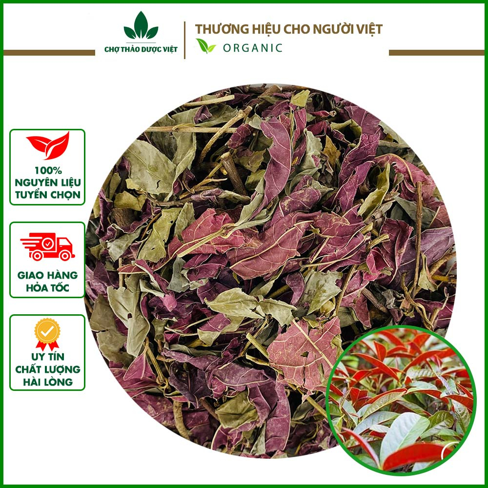 Lá đơn đỏ khô 1kg, hỗ trợ giảm mẩn ngứa, mề đay, mụn nhọt, các vấn đề ngoài da