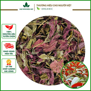 [Giá Sỉ] 1kg Lá Đơn Đỏ (Khô, Thơm, Sạch)