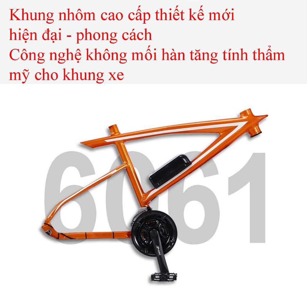 Xe đạp điện thể thao LX