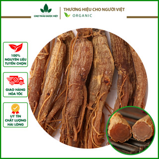 Hồng sâm sấy dẻo 500g ( Nhân sâm củ, sâm râu bồi bổ sức khỏe ) - Chợ Thảo Dược Việt
