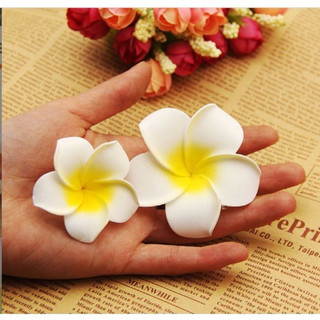 HOA SỨ ĐI BIỂN CÀI TÓC XINH ODERI MS998