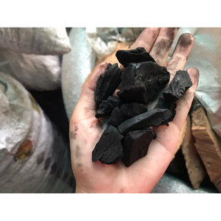 Than củi vụn trồng lan