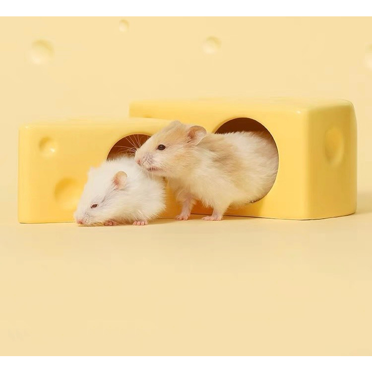 Nhà sứ và chén xinh dành cho hamster