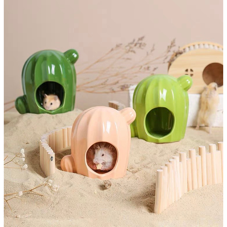 Nhà sứ và chén xinh dành cho hamster