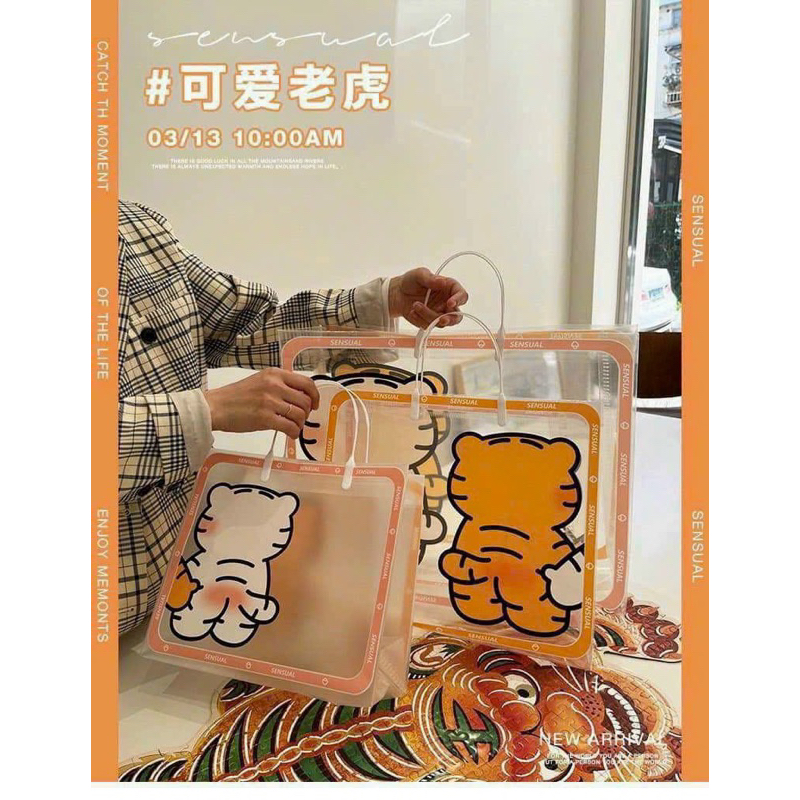Sét 3 túi xách trong suốt 3 kích thước