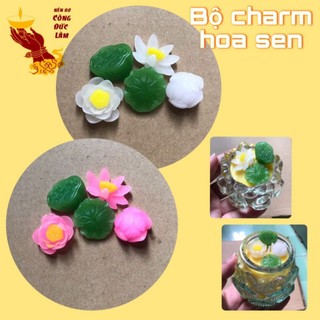Charm hoa sen