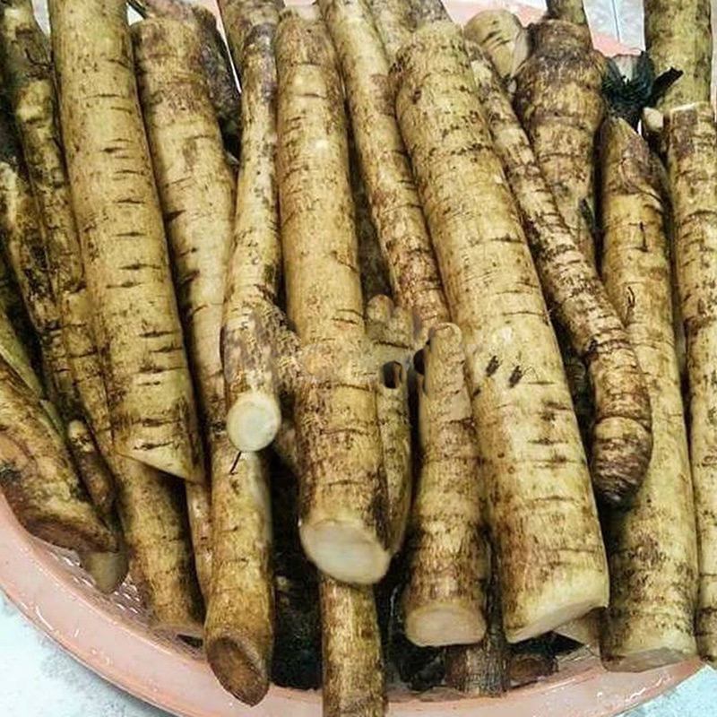 Ngưu báng tươi  Quy Nguyên Thầy Tuệ Hải 1kg