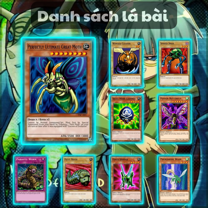 Bài Yugioh Tiếng Việt - Bộ bài Côn Trùng Haga