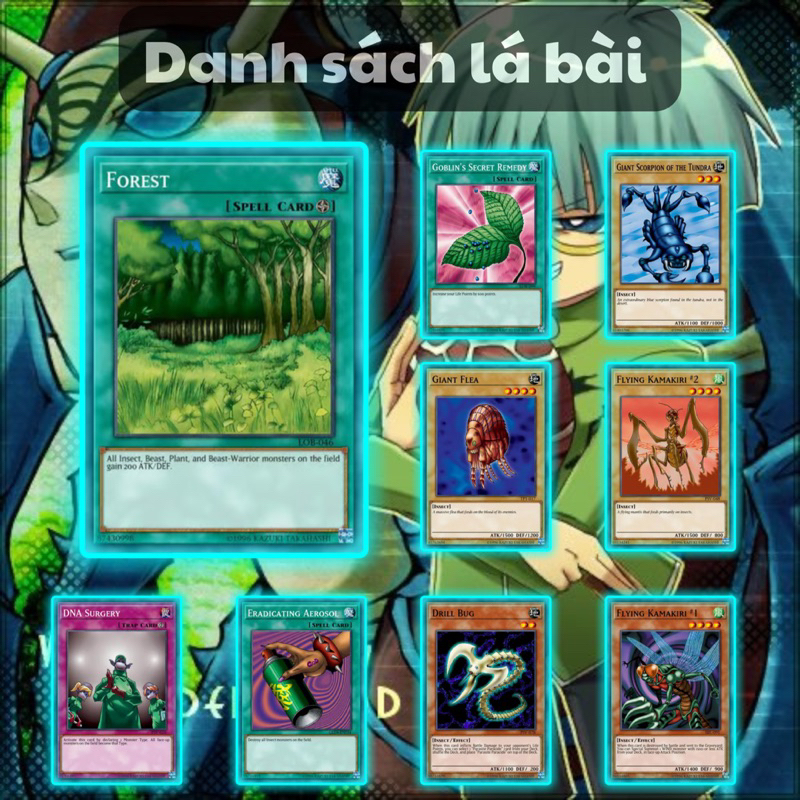 Bài Yugioh Tiếng Việt - Bộ bài Côn Trùng Haga