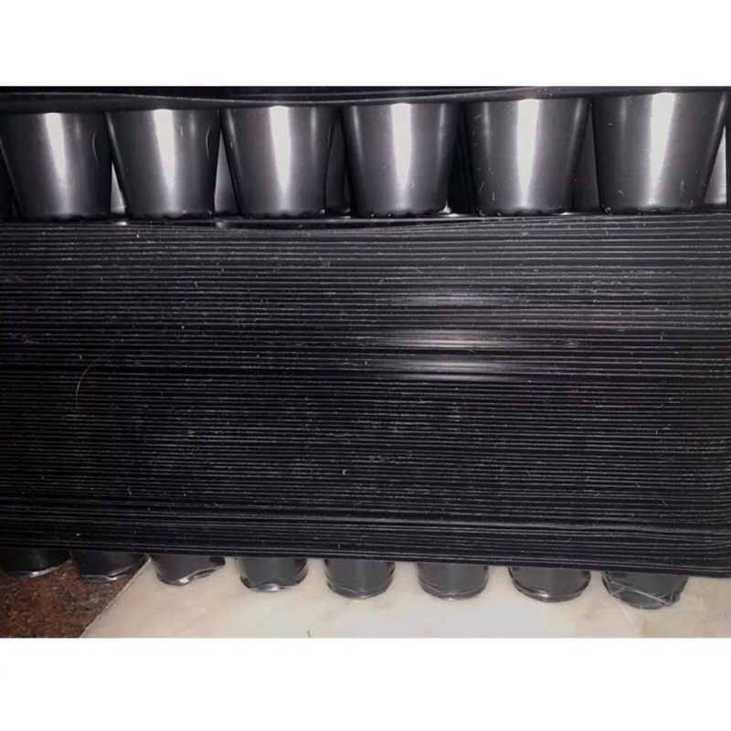 Khay gieo hạt giống 104 lỗ, vỉ gieo hạt, trồng sen đá, rau cầm, cành ươm