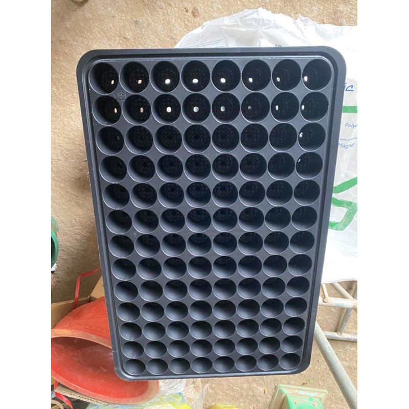 Khay gieo hạt giống 104 lỗ, vỉ gieo hạt, trồng sen đá, rau cầm, cành ươm