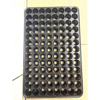  khay gieo hạt giống 104 lỗ vỉ gieo hạt trồng sen đá rau cầm cành ươm 