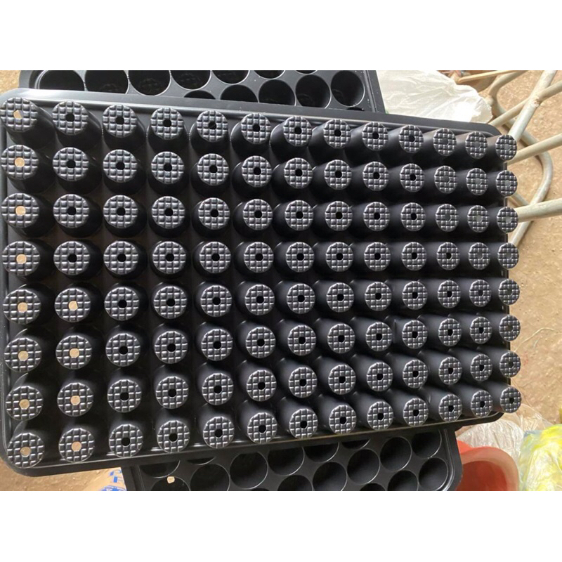 Khay gieo hạt giống 104 lỗ, vỉ gieo hạt, trồng sen đá, rau cầm, cành ươm