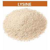 0,25-0,5-1kg LYSINE HỖ TRỢ TĂNG CƠ, ĂN NGON NGỦ NGON
