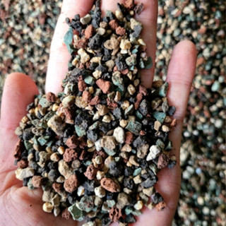 [ Mua 5 Tặng 1 ] Đá Cầu Vông rải mặt cây cảnh , sen đá - Hỗ trợ kích rễ và giữ màu cây