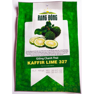 Hạt giống chanh thái, chanh não, chanh chúc kaffir lime 327 rạng đông