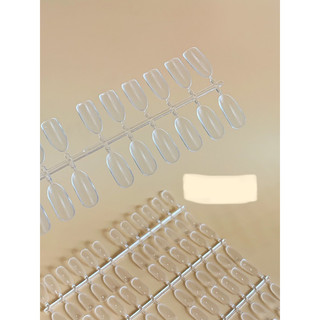 Móng vĩ form trứng 240 móng 10 vĩ