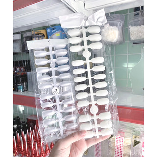 Móng vĩ form trứng 240 móng 10 vĩ