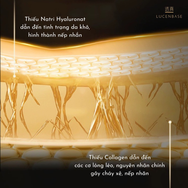 Tinh chất serum Pro-Xylane chống lão hóa Lucenbase 30ml
