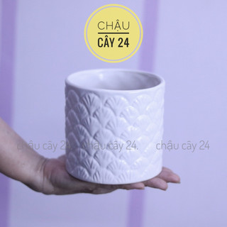 Chậu trồng cây cảnh để bàn bằng sứ, chậu cây mini, tiểu cảnh bonsai mẫu trụ lá tùng